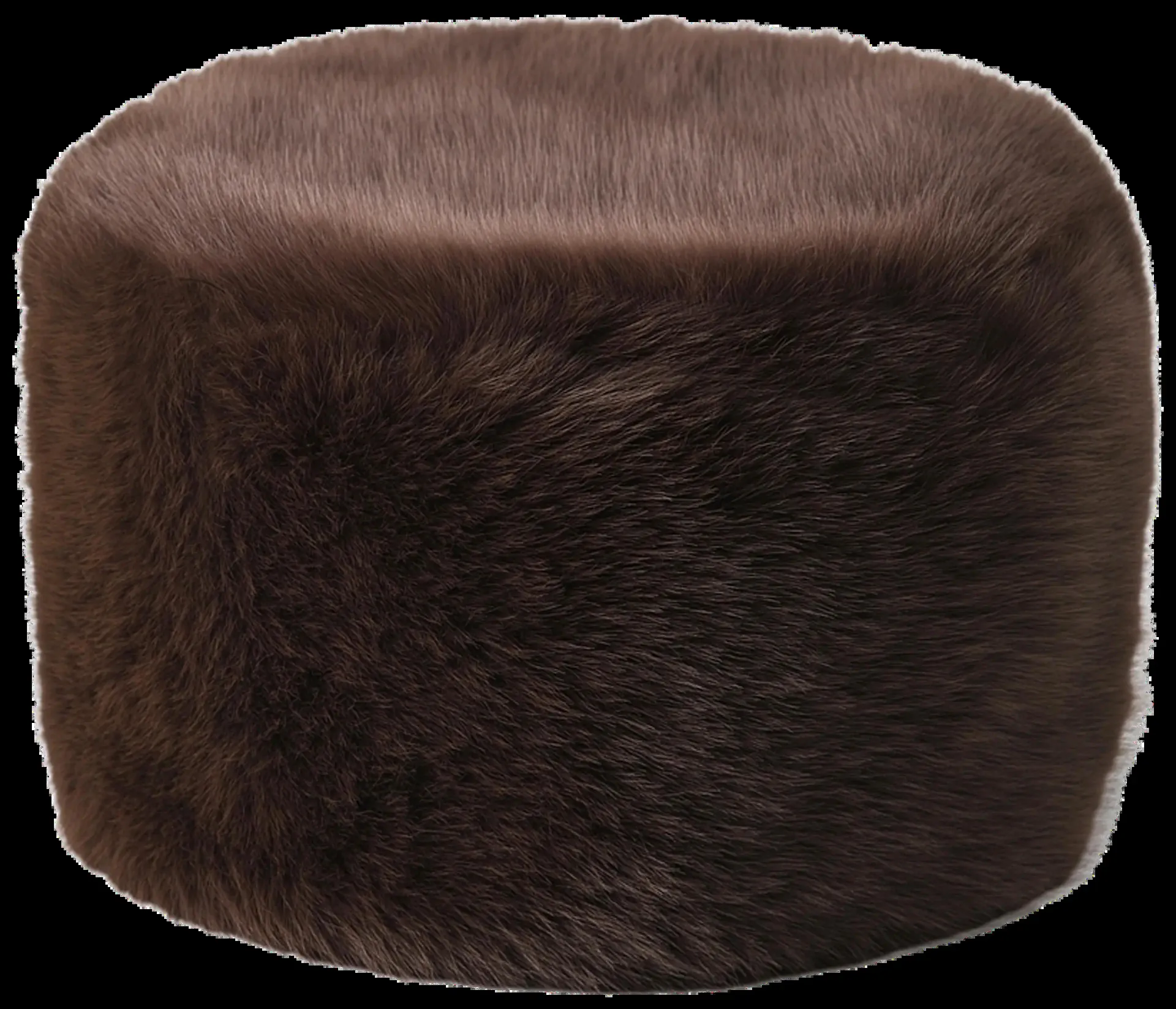 Carin Wester Amy hattu