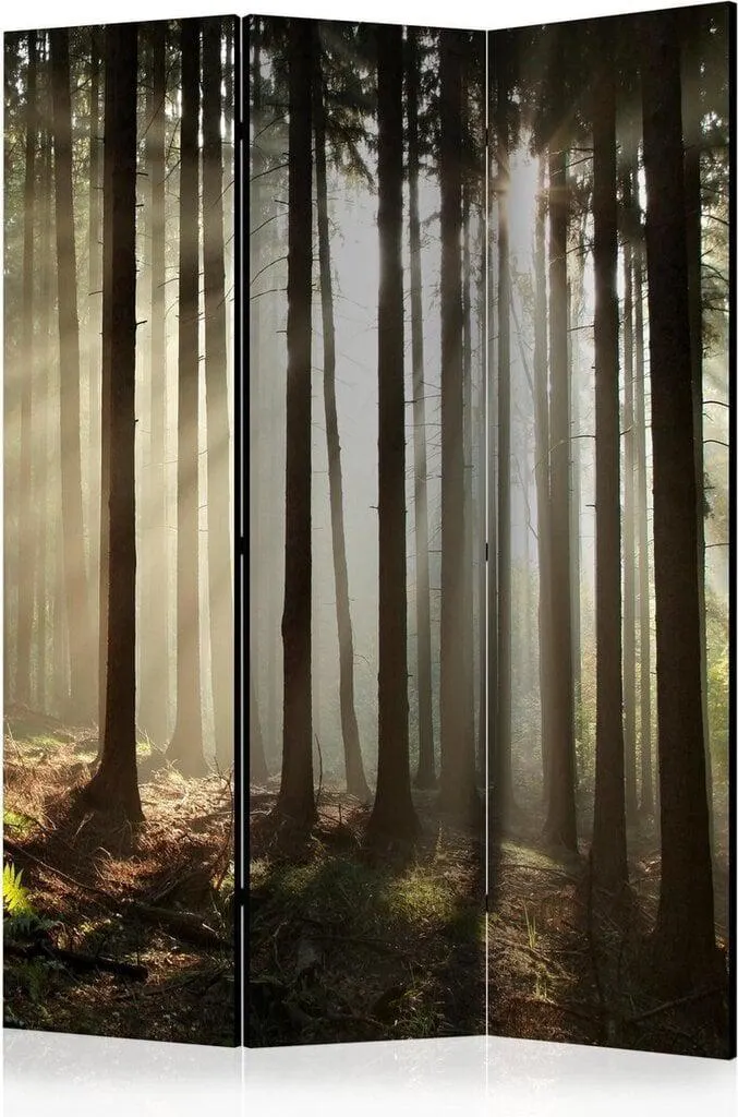 Sermi - Coniferous forest [Room Dividers], 135x172 cm