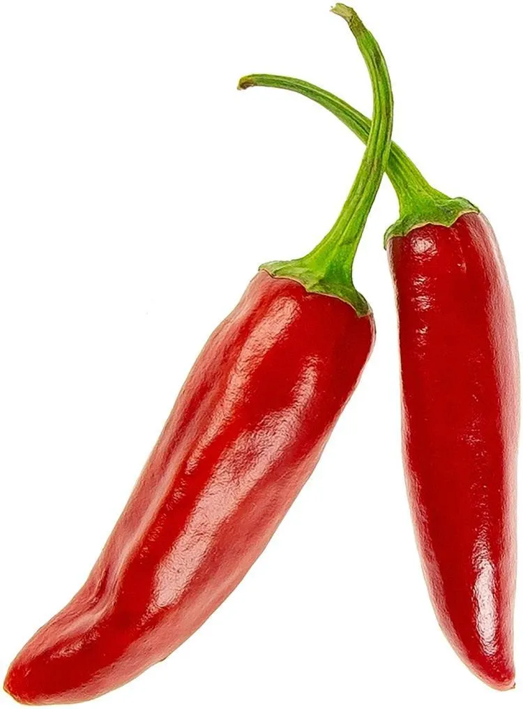 Chili punainen Rawit tulinen 7