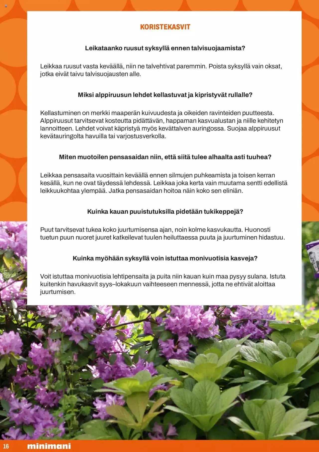 Minimani puutarha-kuvasto voimassa alkaen 24. huhtikuuta - 31. joulukuuta 2024 - Tarjouslehti sivu 16