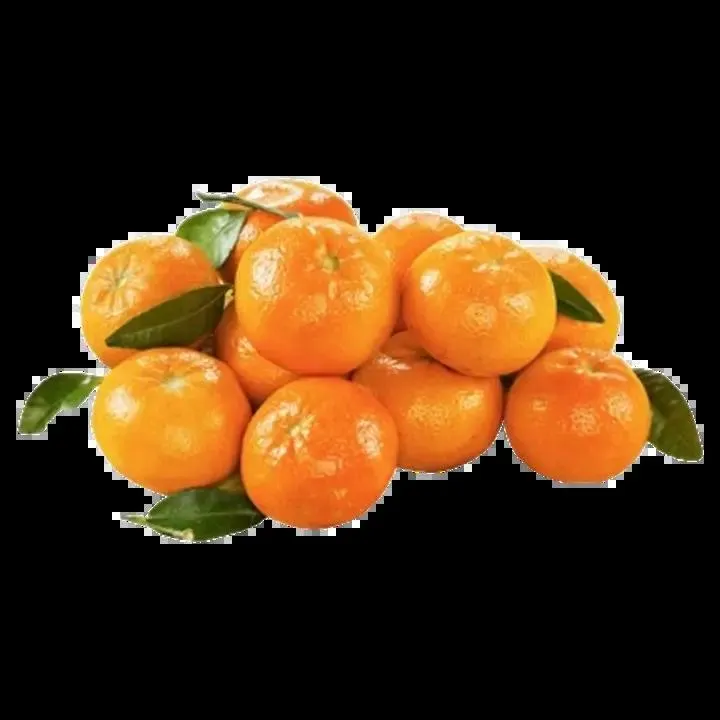 Makea lehdellinen mandariini 1 kg I Espanja