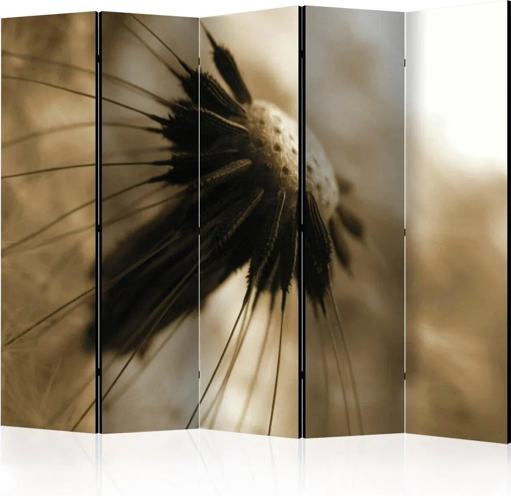 Sermi - dandelion - sepia II [Room Dividers], 225x172 cm