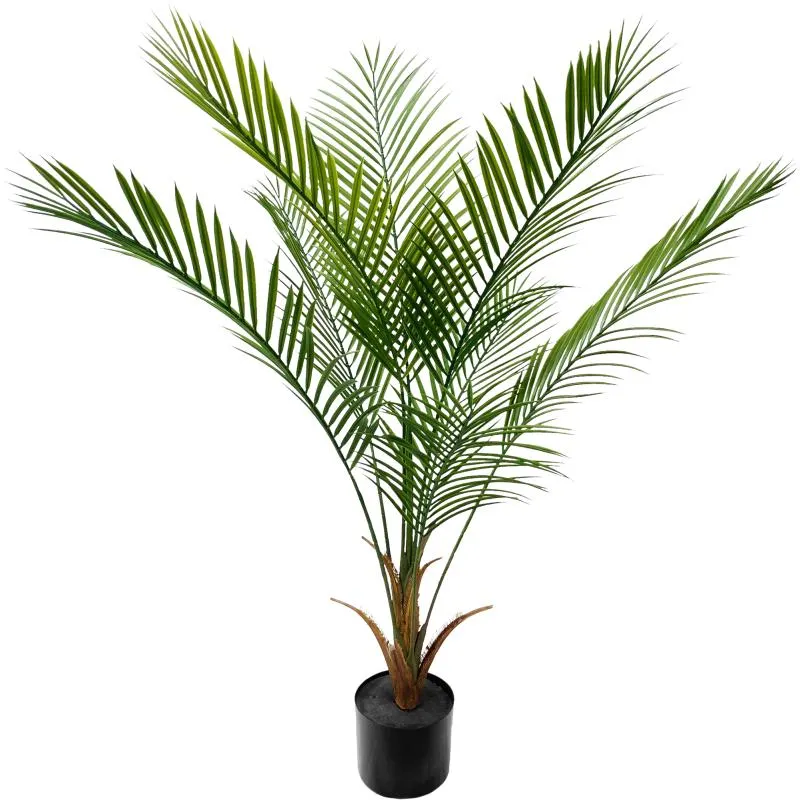 Kultapalmu Kotikulta 120 cm