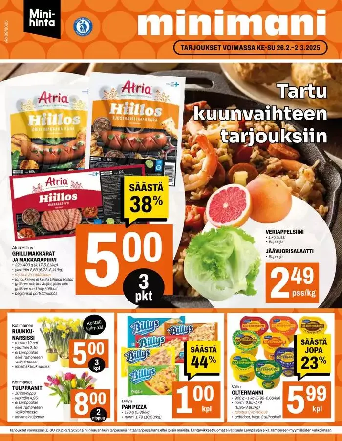 Minimani Yhtiöt Oy - 1