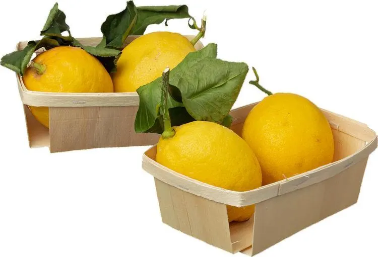 Sorrenton sitruuna 500g