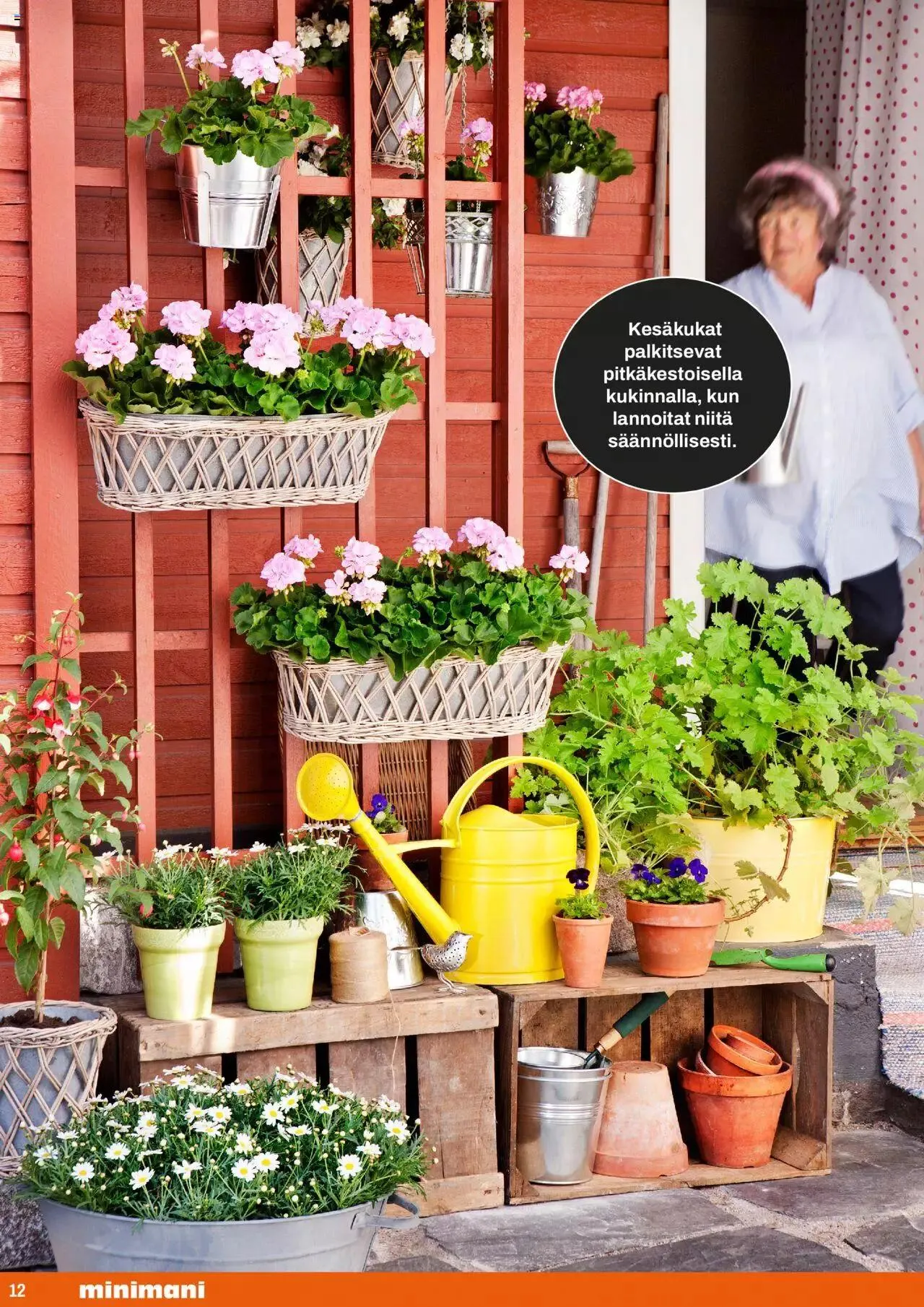 Minimani puutarha-kuvasto voimassa alkaen 24. huhtikuuta - 31. joulukuuta 2024 - Tarjouslehti sivu 12