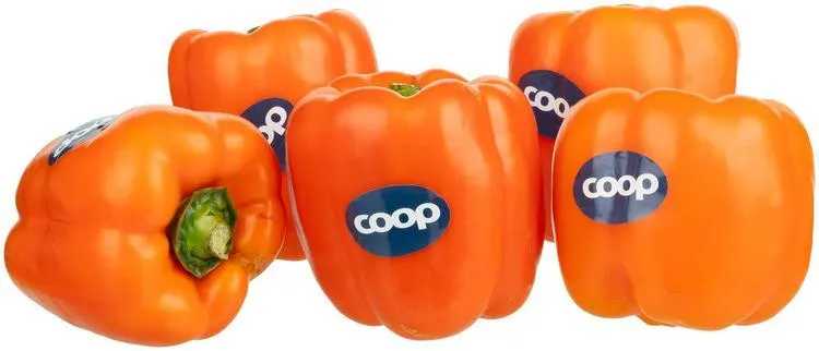 COOP Paprika oranssi pakattu