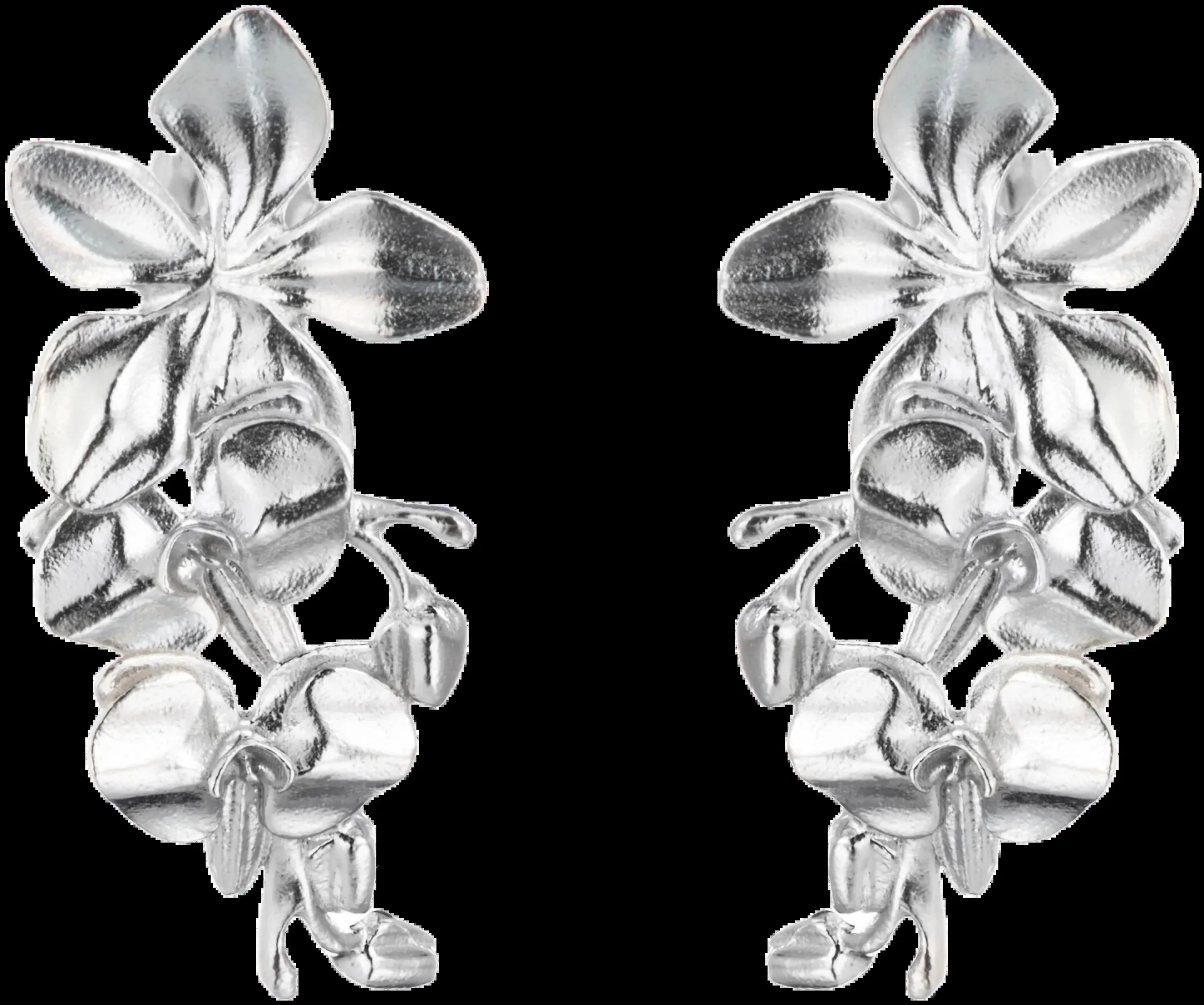 Lumoava Liza korvakorut