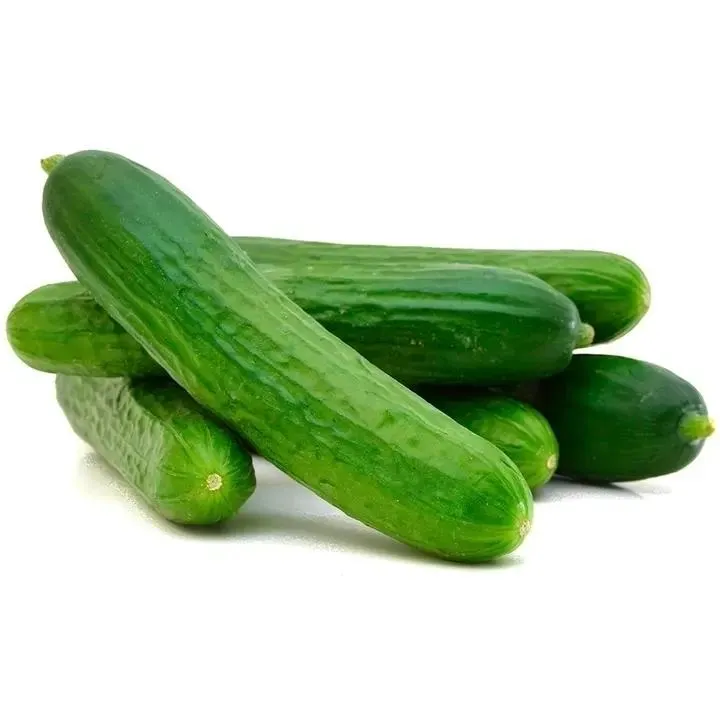 Varpio Puutarha kurkku