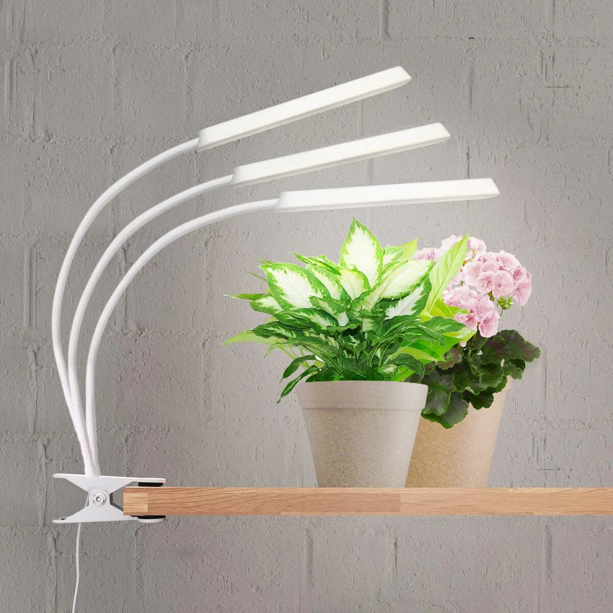 Kasvivalo LED 3 vartta ja nipistin, valkoinen