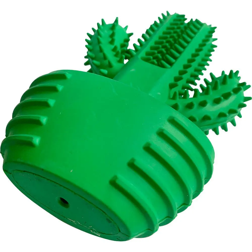 Koiranlelu Cactus Kayoba