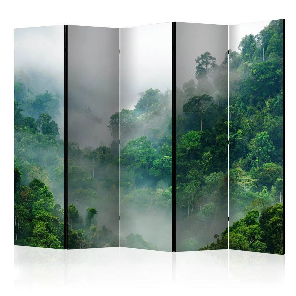 Sermi - Morning Fog II [Room Dividers], 225x172 cm