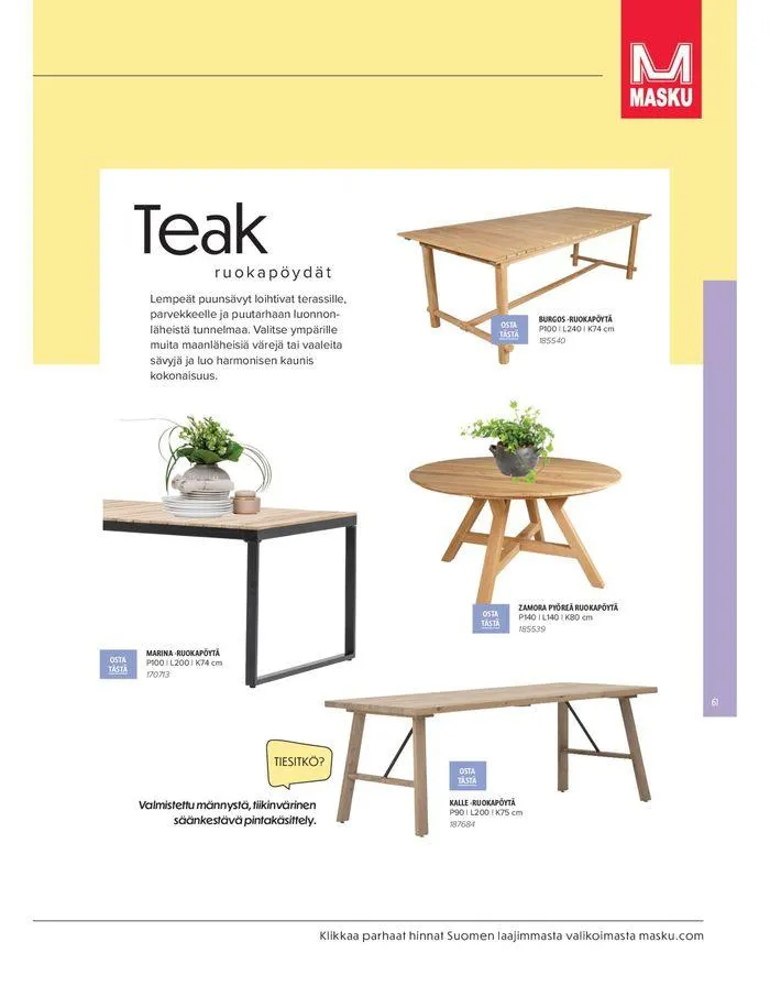 Kesa 2024 voimassa alkaen 20. maaliskuuta - 31. elokuuta 2024 - Tarjouslehti sivu 61