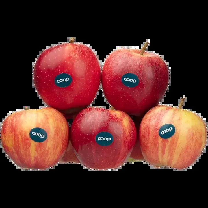 Coop Omena Royal Gala