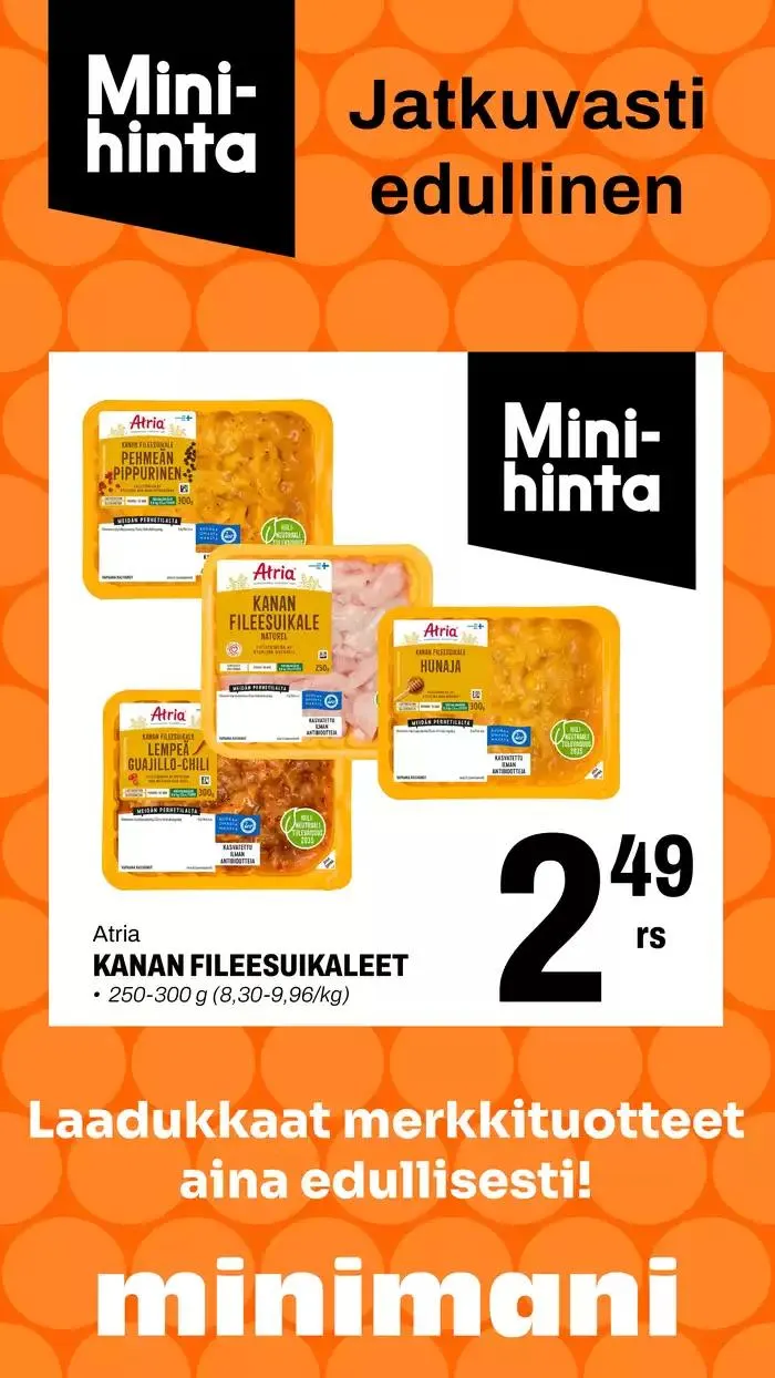 Minimani Yhtiöt Oy - 1