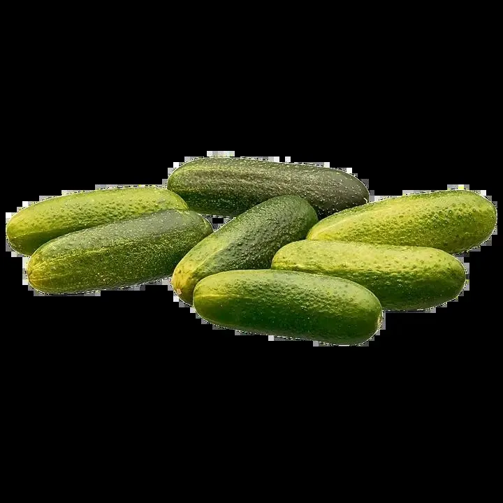 Myrttinen Valkosipulisuolakurkku