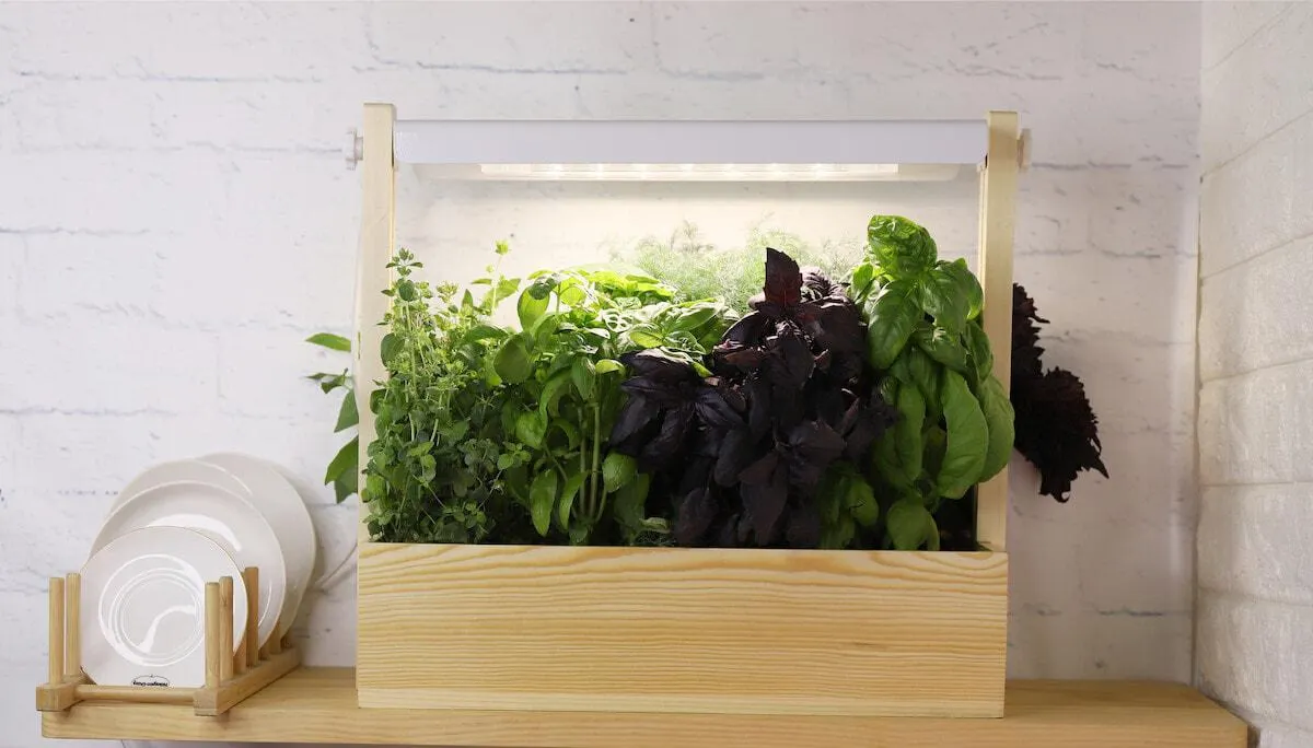 Kasvihuone sisälle, LED ja ajastin, valkoinen/puu