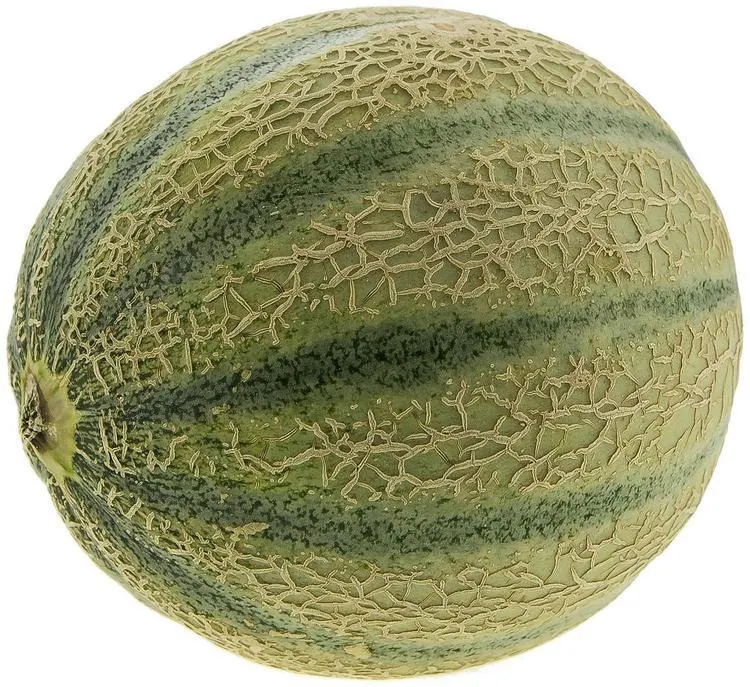 Cantaloupemeloni