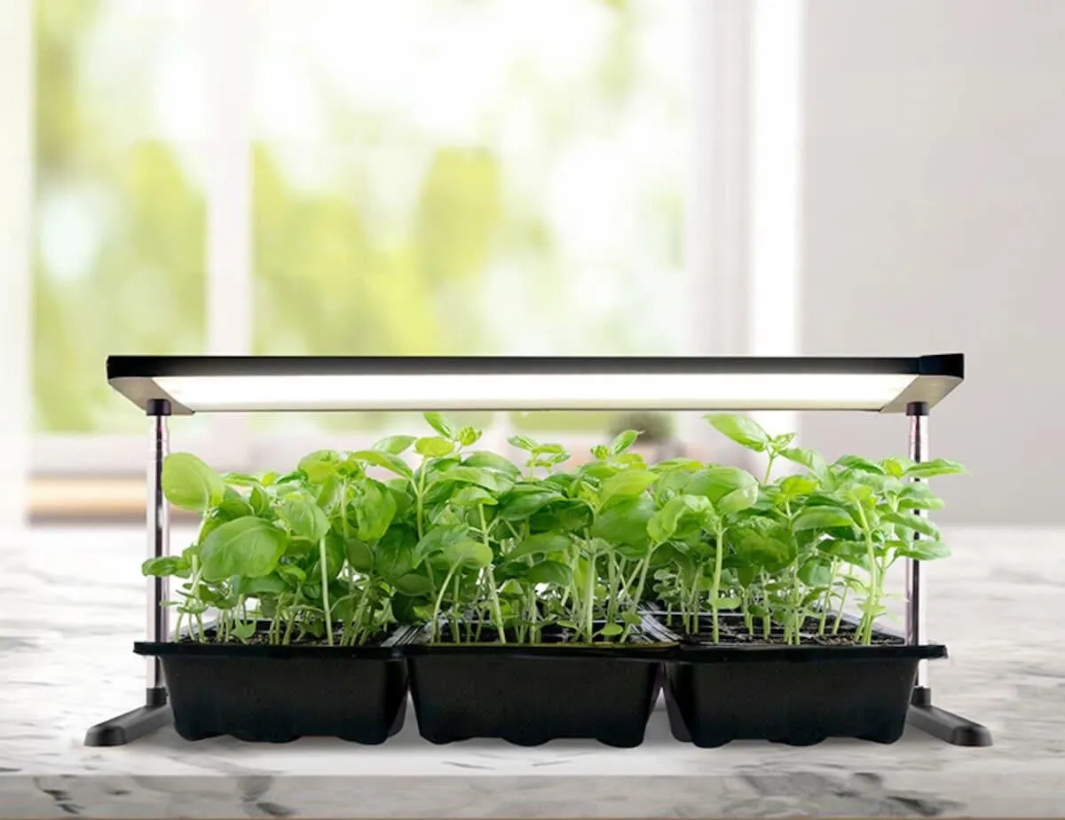 LED-kasvivalaisin teline ja ajastin, musta