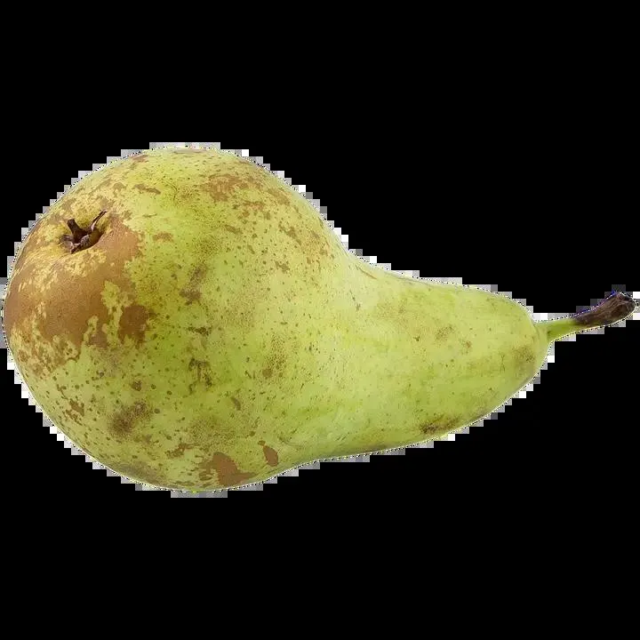 Päärynä I Conference