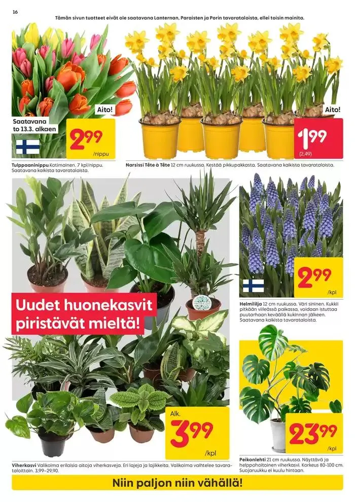 Rusta tarjoukset voimassa alkaen 16. maaliskuuta - 16. maaliskuuta 2025 - Tarjouslehti sivu 16