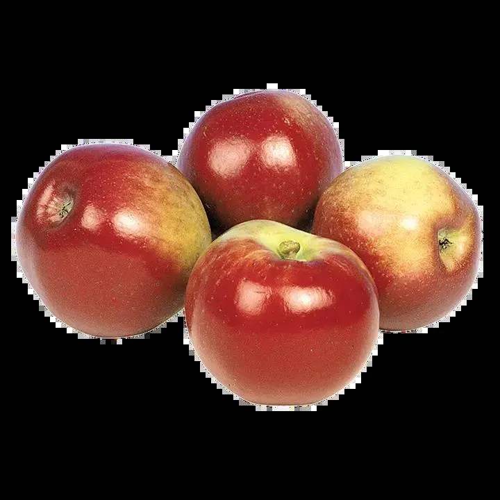 Omena Paula red/Champion