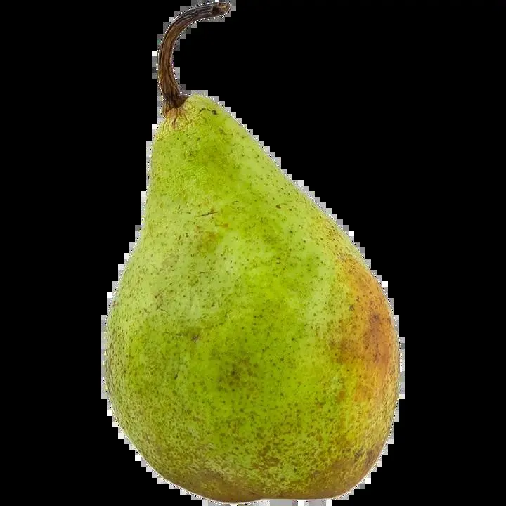 Päärynä Xenia I Alankomaat