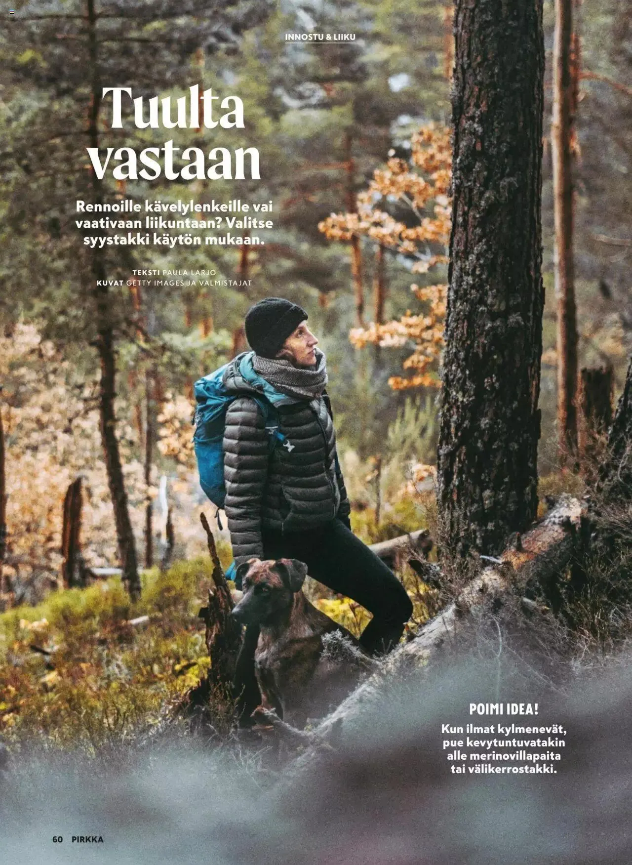 K-Market tarjoukset Pirkka 9/2023 voimassa alkaen 30. elokuuta - 3. lokakuuta 2023 - Tarjouslehti sivu 60