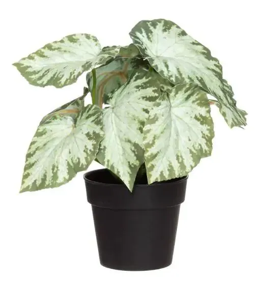 Toimituskulut yli 100 €:n ostoksessa Smartpostiin 0 €