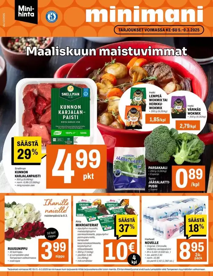 Minimani Yhtiöt Oy - 1