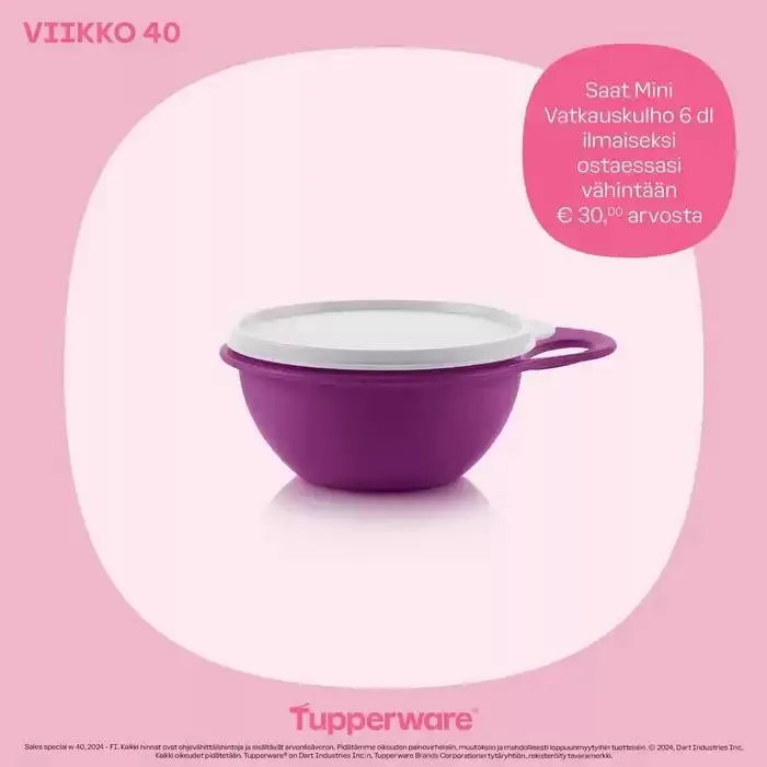 Tupperware tarjoukset voimassa alkaen 1. lokakuuta - 15. lokakuuta 2024 - Tarjouslehti sivu 1