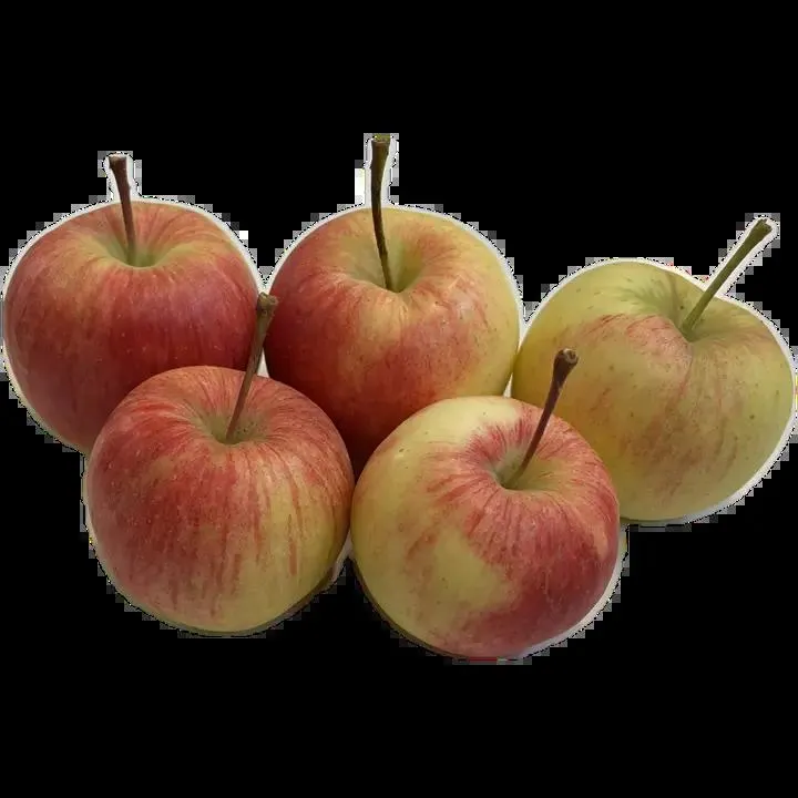 Rahkosen omena, Zari