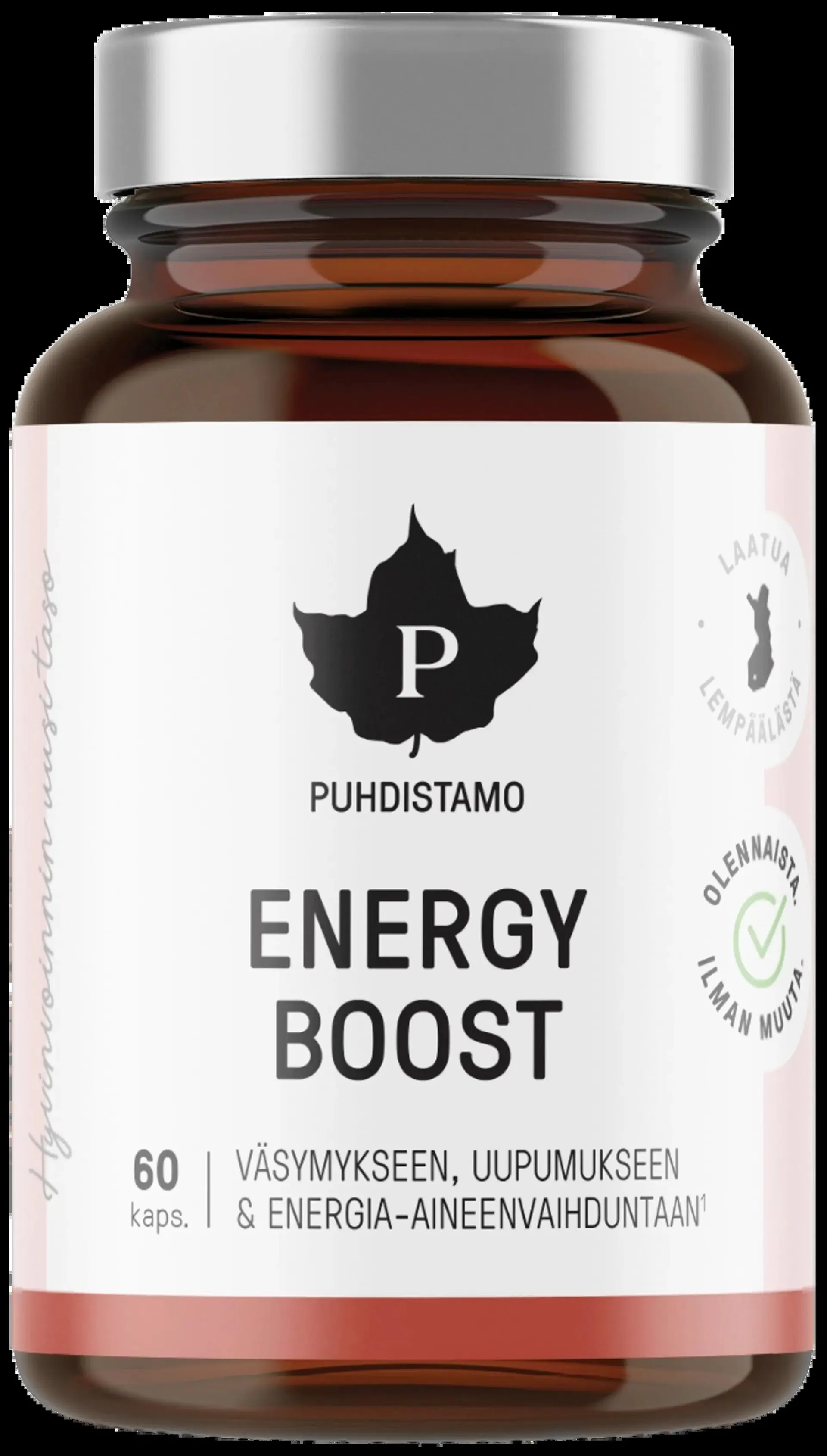 Puhdistamo EnergyBoost 60 kaps