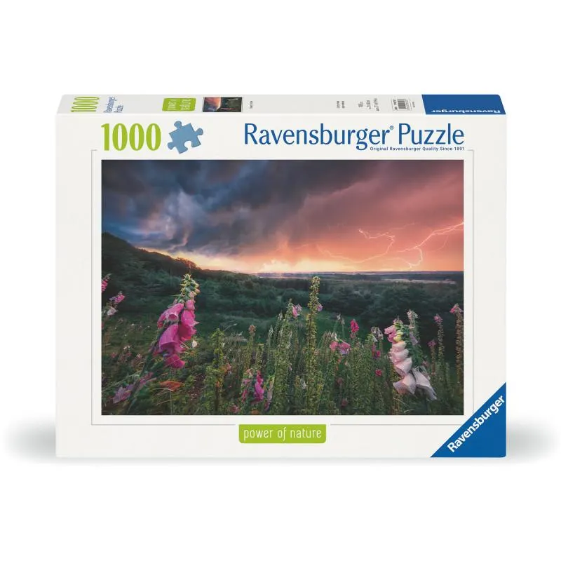 palapeli Dreamy Thunder 1000palaa