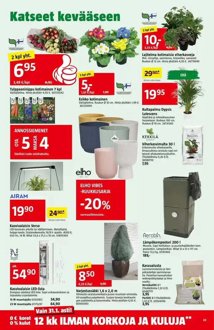Pienten hintojen puolella voimassa alkaen 24. tammikuuta - 11. helmikuuta 2025 - Tarjouslehti sivu 22