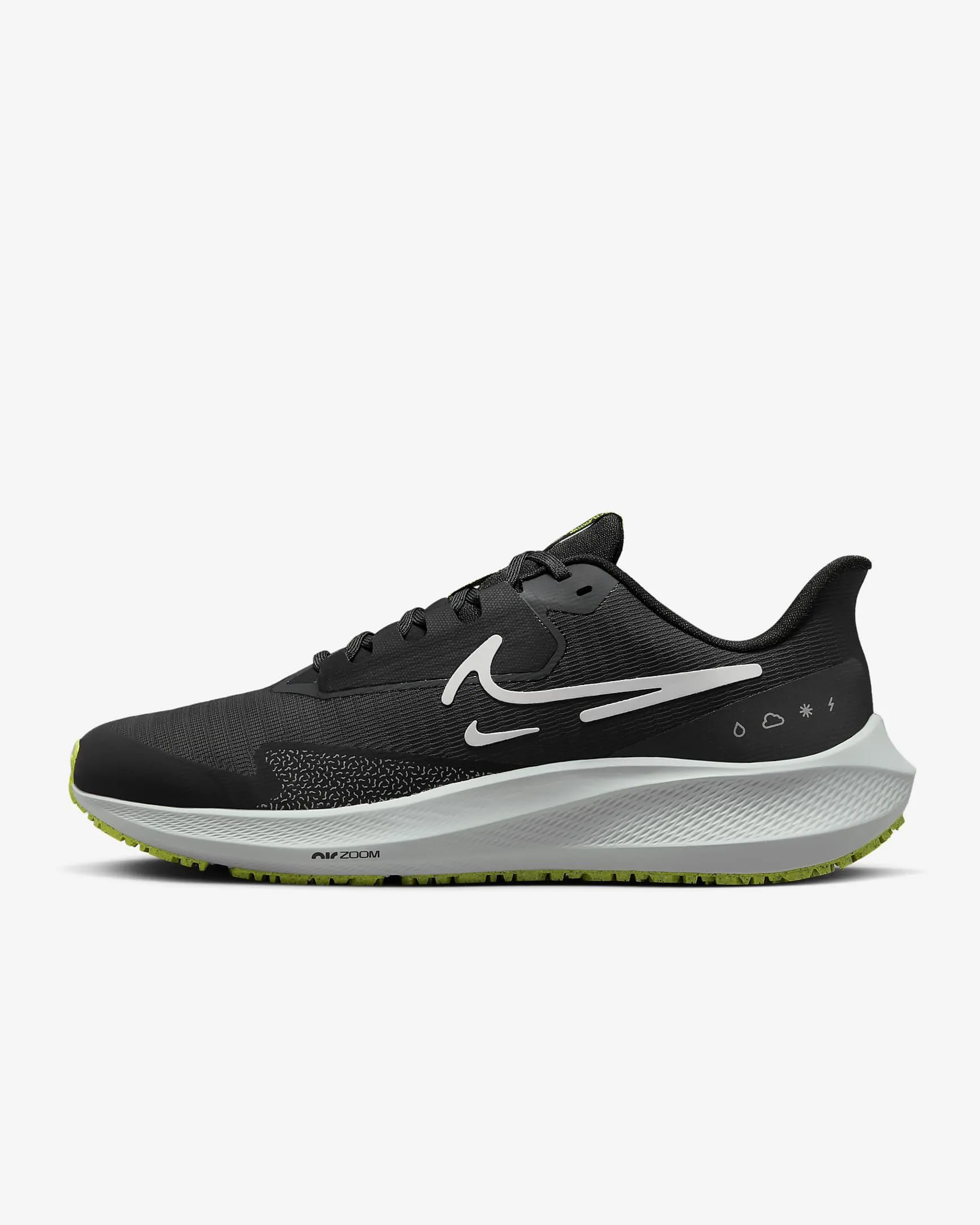 Nike Pegasus 39 Shield