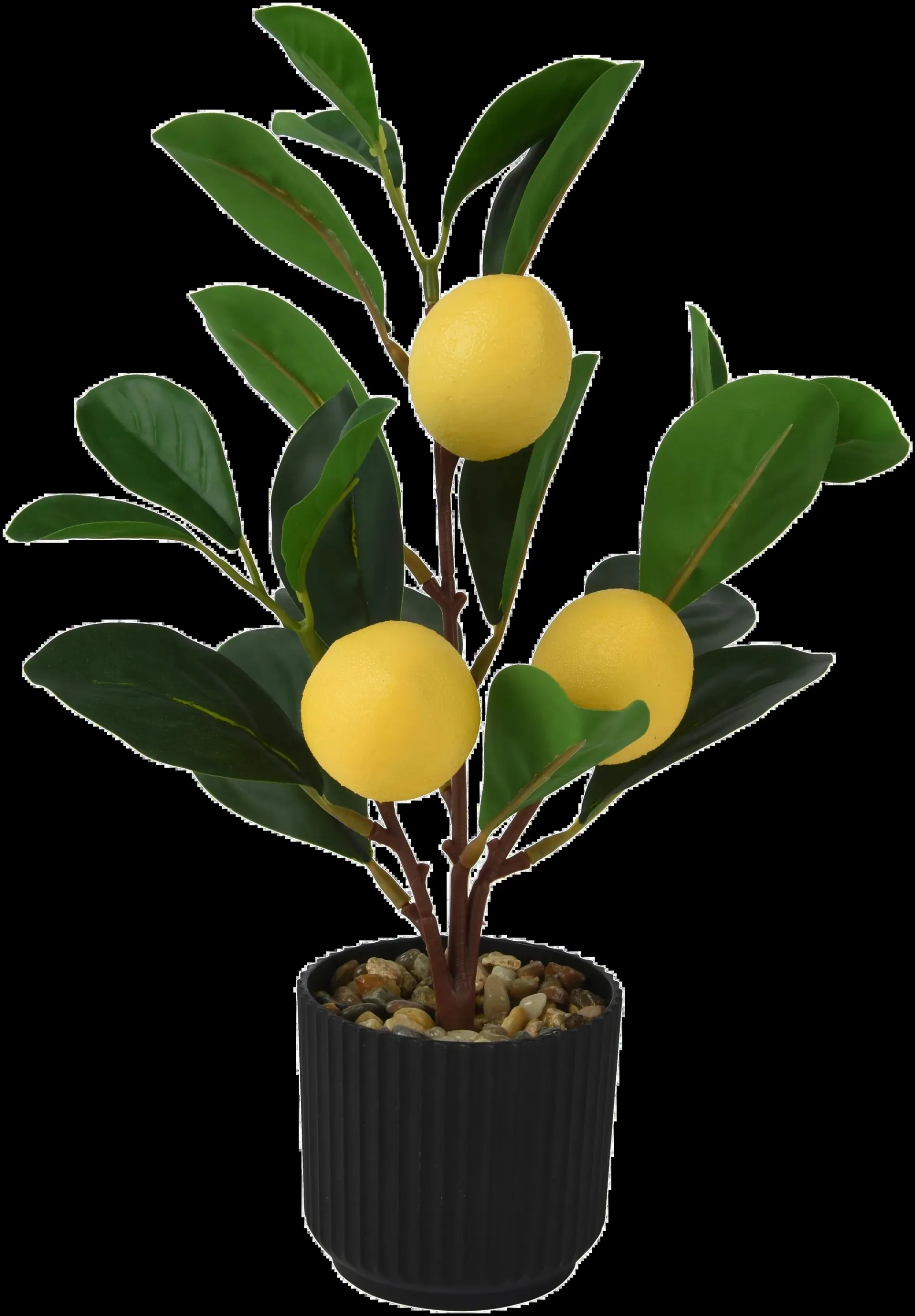 Decoris Sisustuskasvi Sitruuna ruukussa siustuskasvi k 27cm keltainen