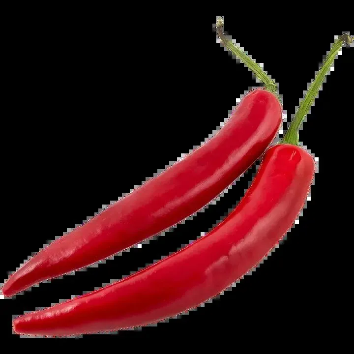 Chili punainen medium 5-6