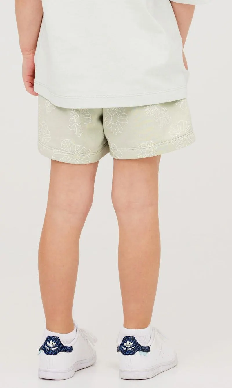 Collegeshortsit