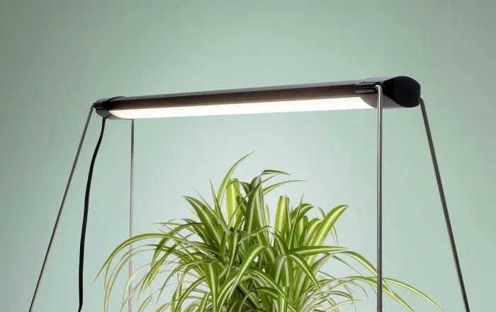 Kasvivalaisin Airam Verso