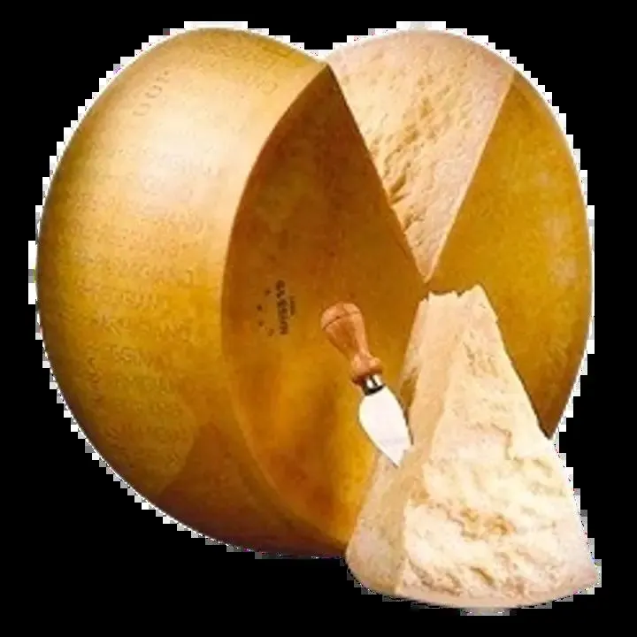 Riitan Herkku Parmigiano Reggiano n.4,5kg