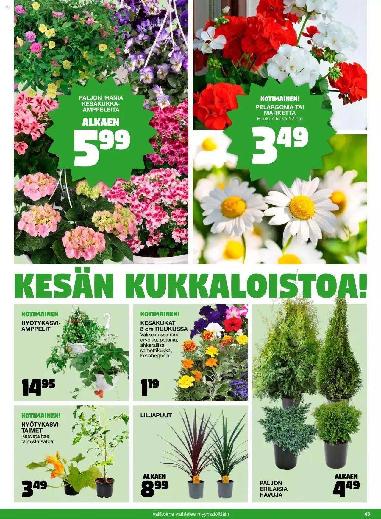 Tokmanni - Kesä 2023 voimassa alkaen 17. huhtikuuta - 31. joulukuuta 2023 - Tarjouslehti sivu 43