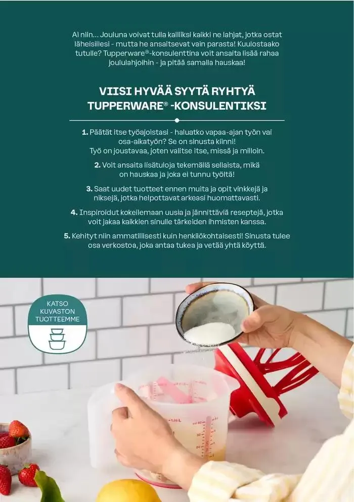 Ajankohtaisia löytöjä ja tarjouksia voimassa alkaen 2. joulukuuta - 16. joulukuuta 2024 - Tarjouslehti sivu 3