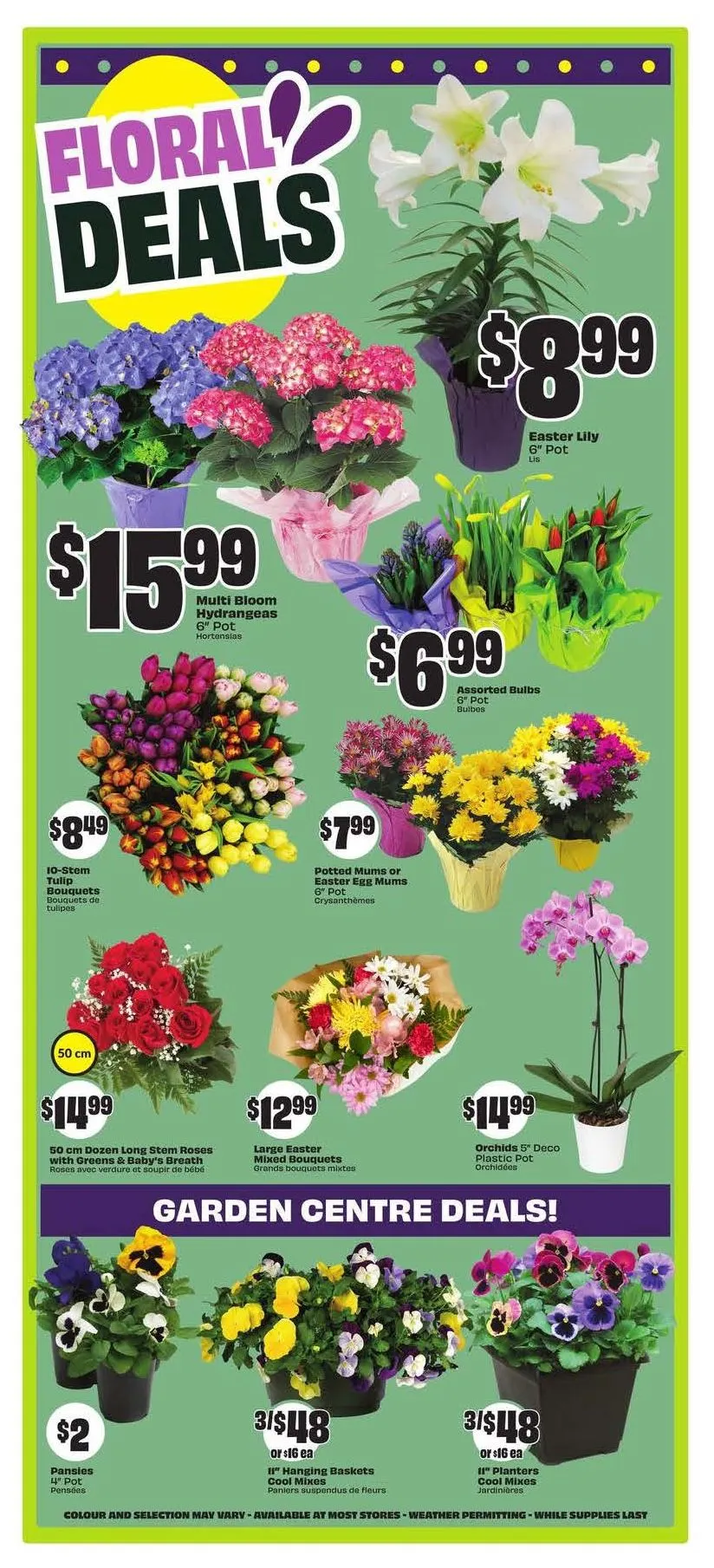 FreshCo Weekly Ad from April 10 to April 16 2025 - flyer page 6