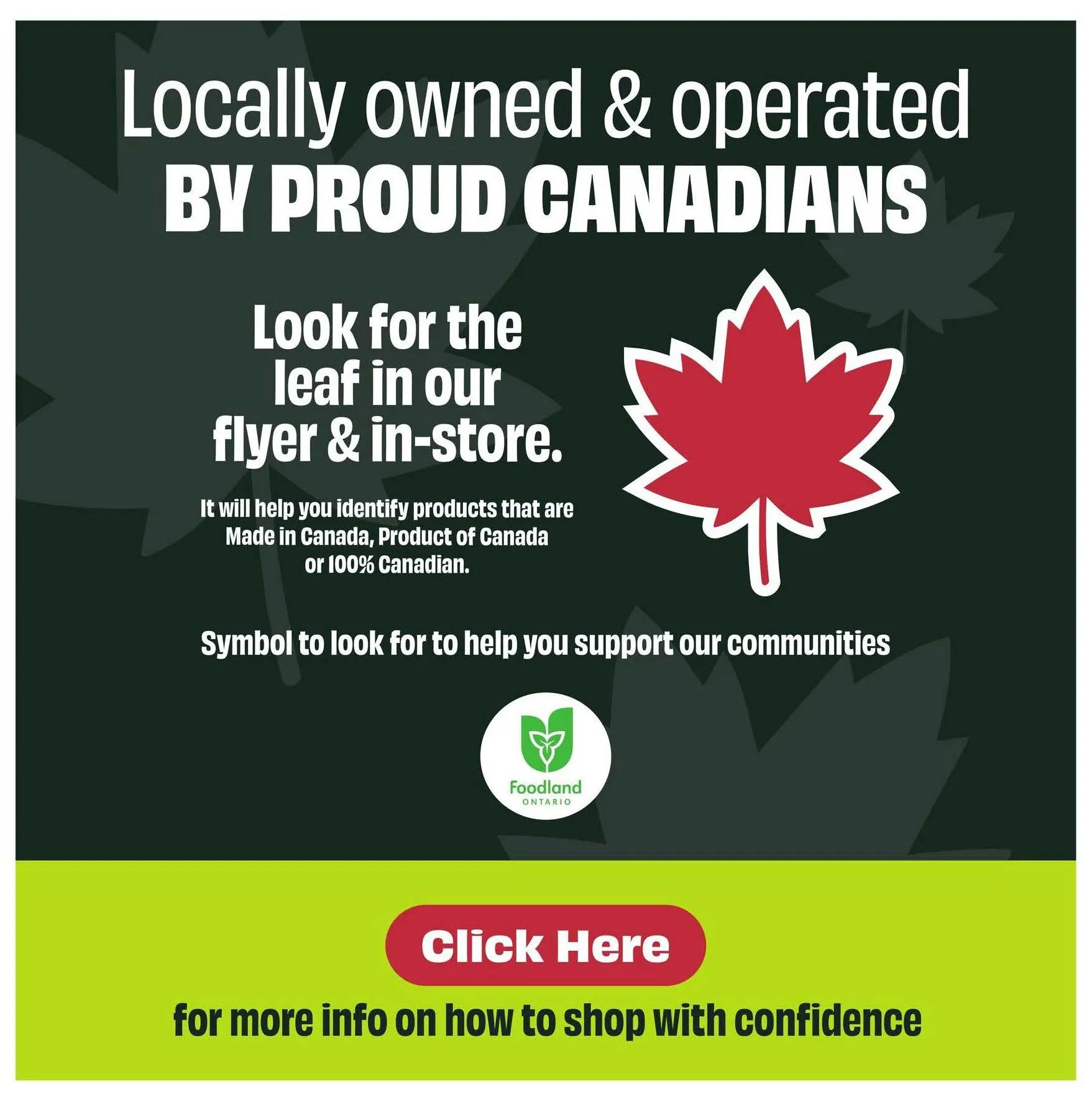 FreshCo Weekly Ad from April 10 to April 16 2025 - flyer page 13