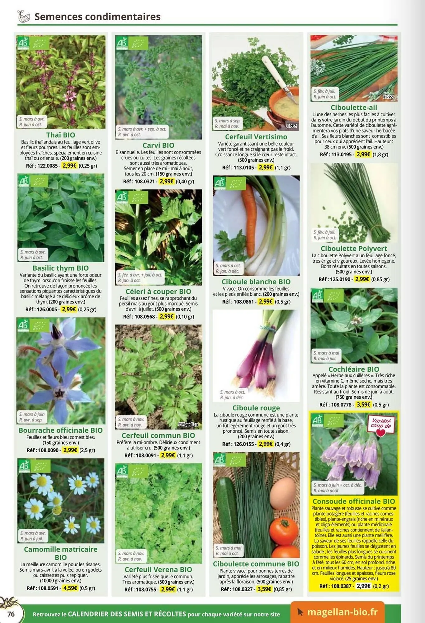 Catalogue Magellan du 1 janvier au 31 décembre 2026 - Catalogue page 76