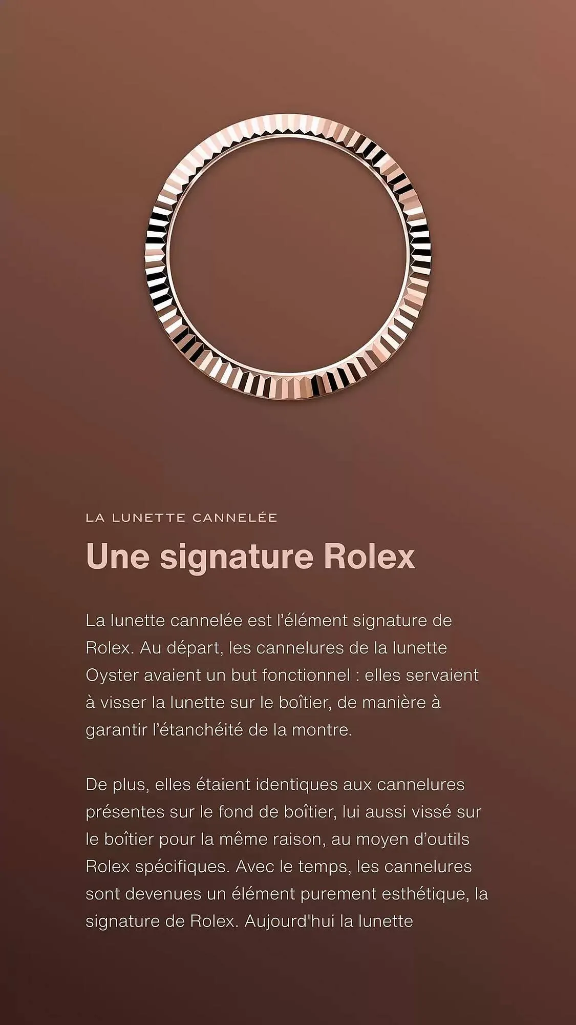 Catalogue Rolex du 13 décembre au 13 décembre 2025 - Catalogue page 5