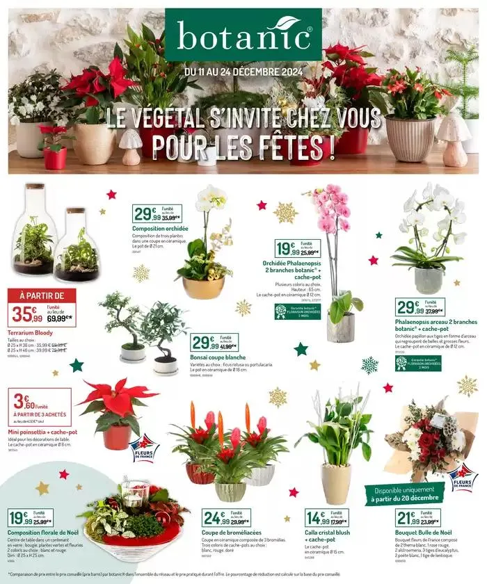 LE VÉGÉTAL S’INVITE CHEZ VOUS POUR LES FÊTES ! - 1