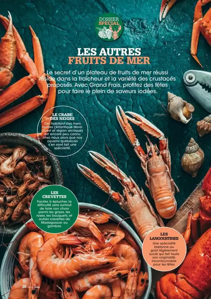 Hiver 2024 du 3 décembre au 20 mars 2025 - Catalogue page 20