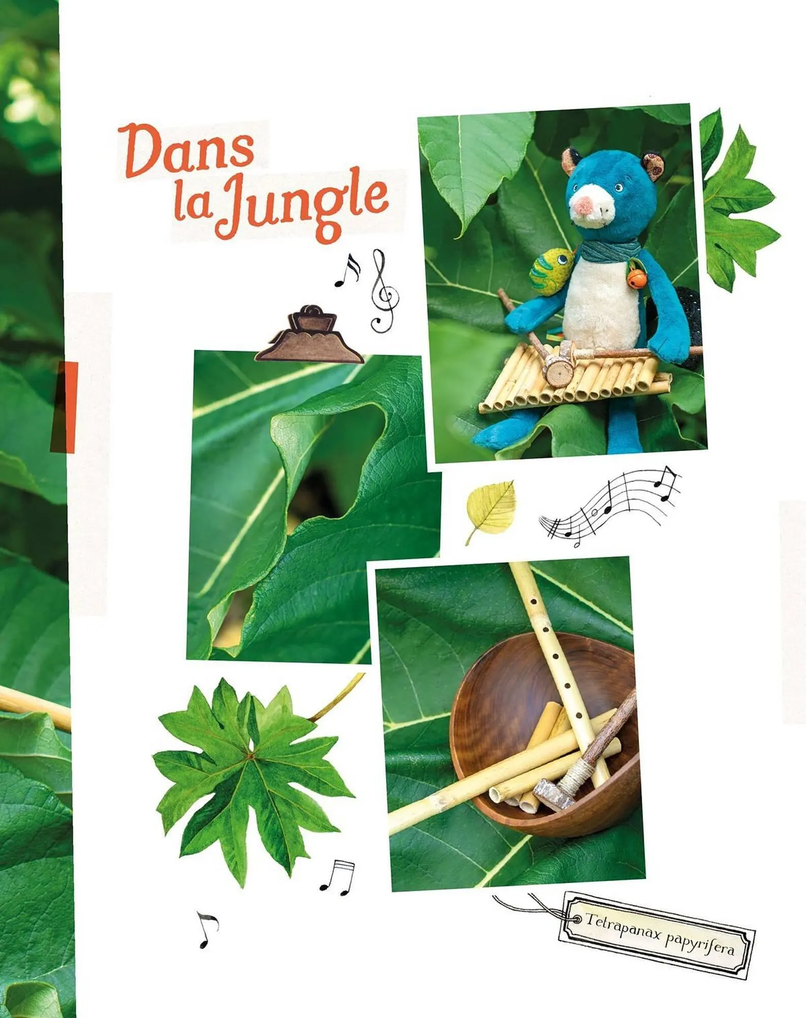 Catalogue Moulin Roty du 1 février au 28 février 2026 - Catalogue page 145